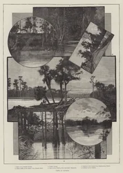Vues de Floride